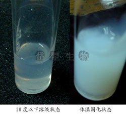 ����ˮ���z